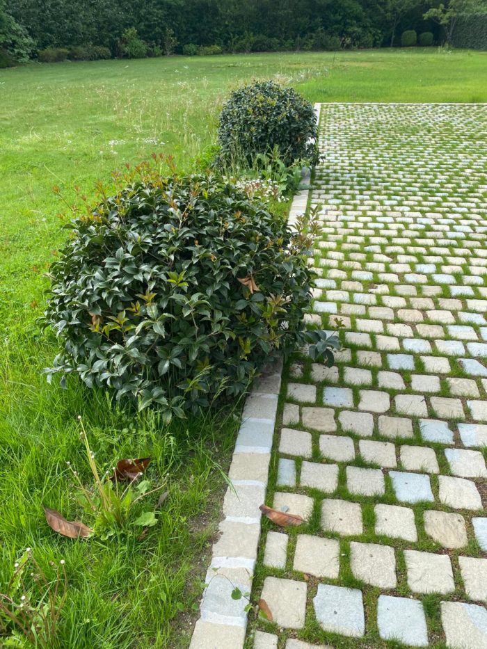 Pavés grès Dinara